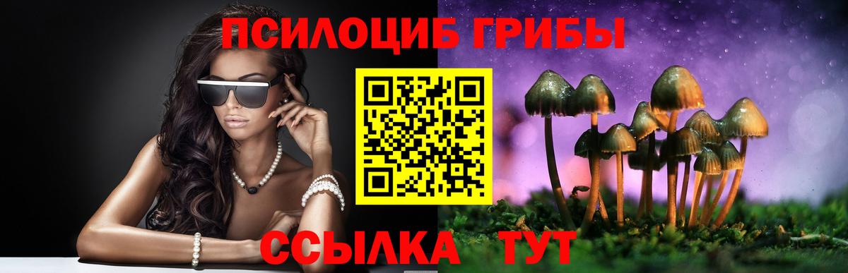 Галлюциногенные грибы Cubensis  Вход с VPN  дарнет шоп  Щёлково 